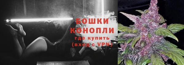 МДПВ Каменка