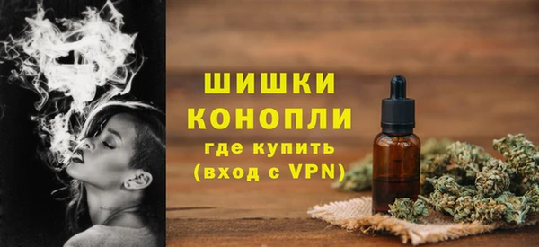 стафф Каменногорск