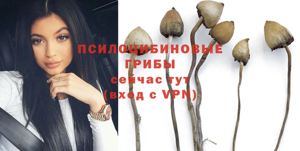 МДПВ Каменка