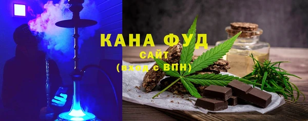 индика Касимов