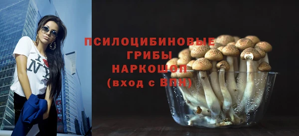 шишки Каменск-Шахтинский