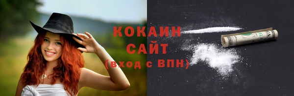 МДПВ Каменка