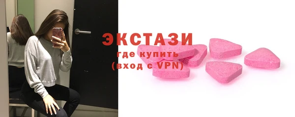 МДПВ Каменка
