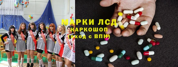 стафф Каменногорск