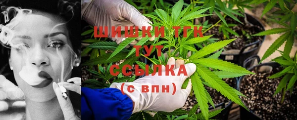 дмт Карпинск