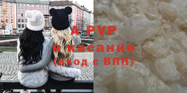 стафф Каменногорск