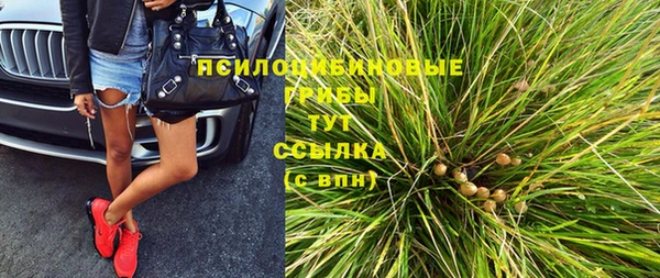 стафф Каменногорск