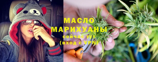 МДПВ Каменка