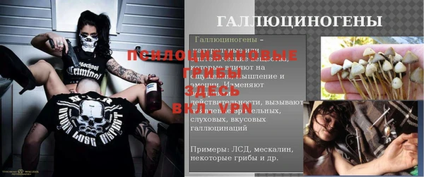 шишки Каменск-Шахтинский