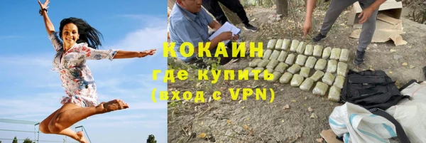 индика Касимов