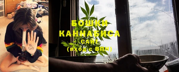 шишки Каменск-Шахтинский