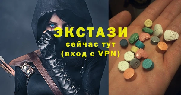 МДПВ Каменка
