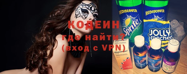 МДПВ Каменка