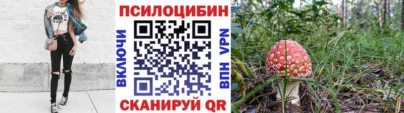 Галлюциногенные грибы Cubensis Гусев